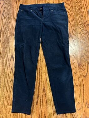 GAP Navy Premium Skinny Pants